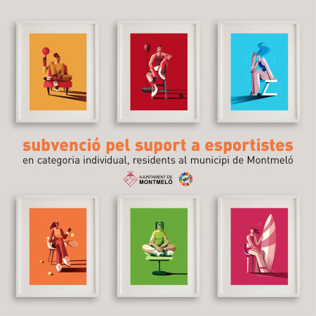 subvenció pel suport a esportistes