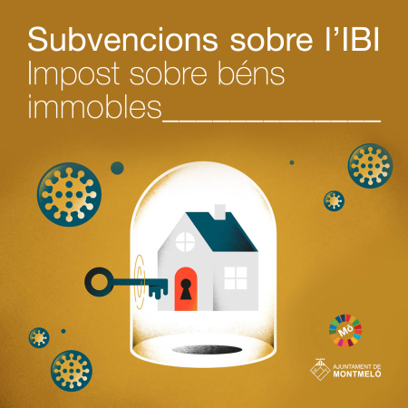 Subvencions sobre l'IBI