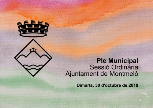 Ple Ordinari 30 octubre 2018