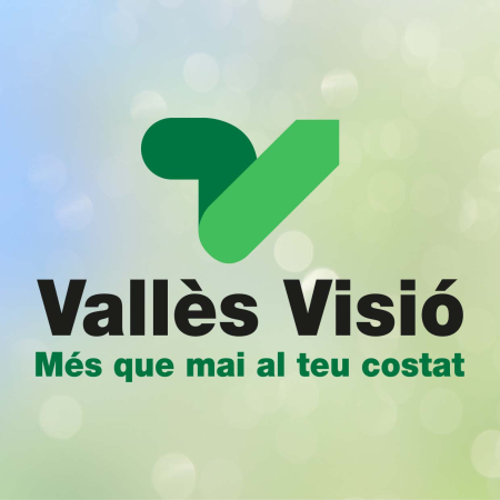 Vallès Visió