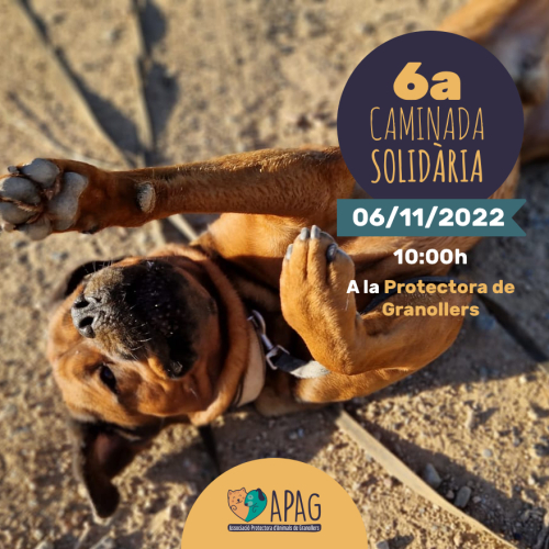 Caminada solidaria APAG 2022