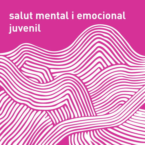 Salut mental i emocional juvenil